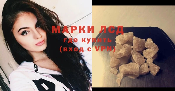 стаф Арсеньев