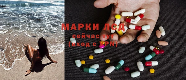 гашик Губаха