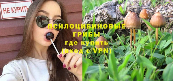 индика Армянск