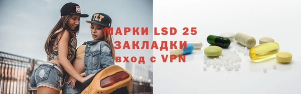 крисы Аркадак
