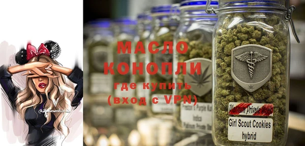 индика Армянск