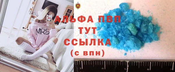 стаф Арсеньев