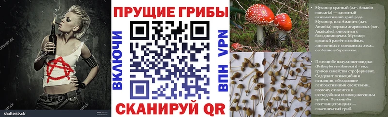 hydra ссылки Белорецк Галлюциногенные грибы GOLDEN TEACHER дарнет шоп